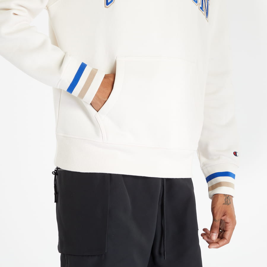 Champion Hooded Sweatshirt 219174 HD Hoodie (wsw)