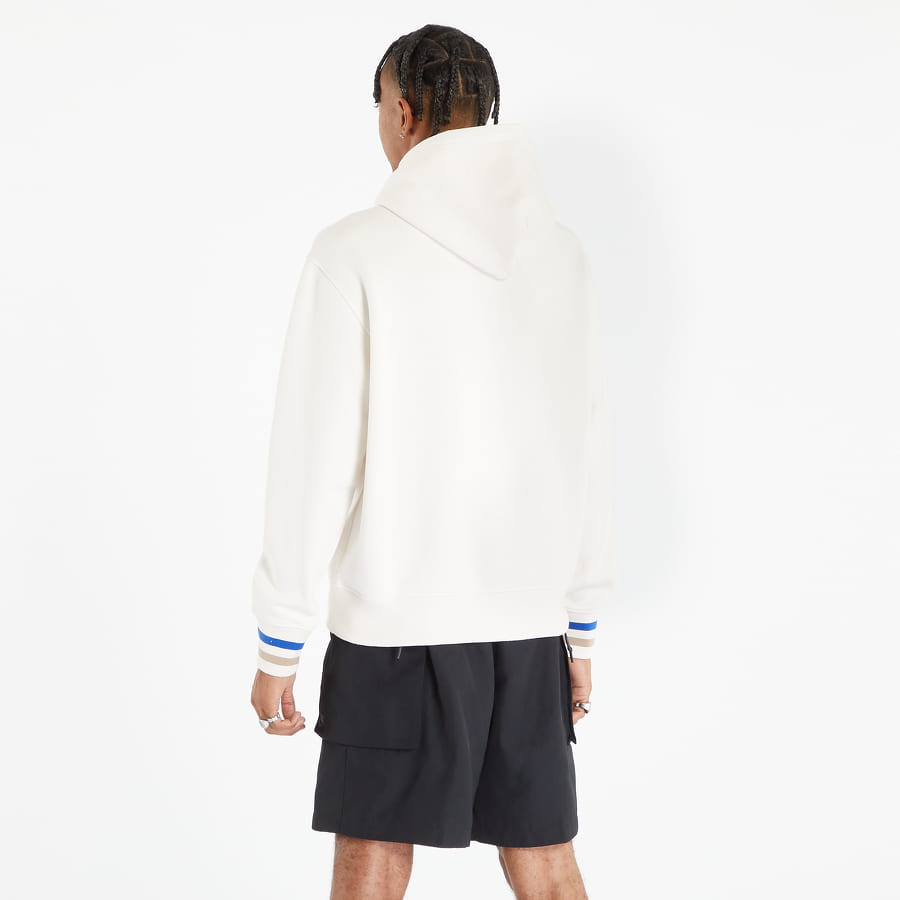 Champion Hooded Sweatshirt 219174 HD Hoodie (wsw)