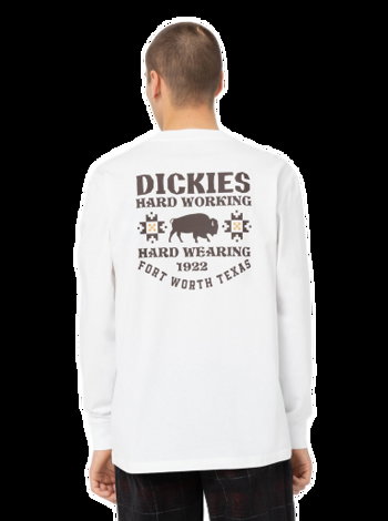 Dickies Hays T-Shirt 0A4YGF