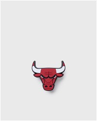 NBA Chicago Bulls Logo