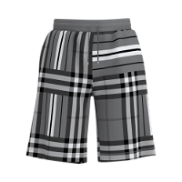 Check And Stripe Jacquard Shorts
