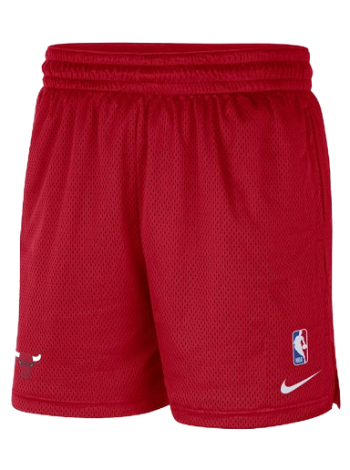Nike Chicago Bulls NBA Shorts DN8228-657