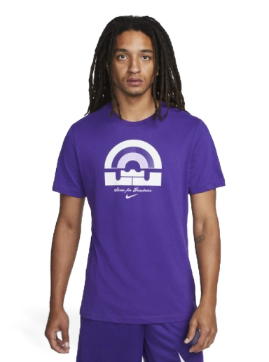 Dri-FIT LeBron Basketball T-Shirt