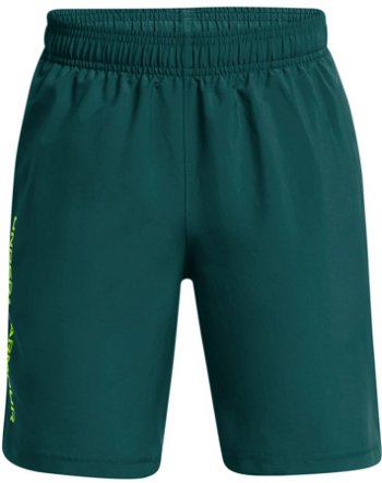 Under Armour Woven Wdmk Shorts 1383341-449